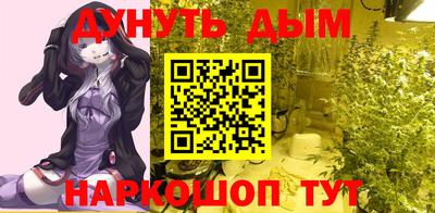 скорость Будённовск