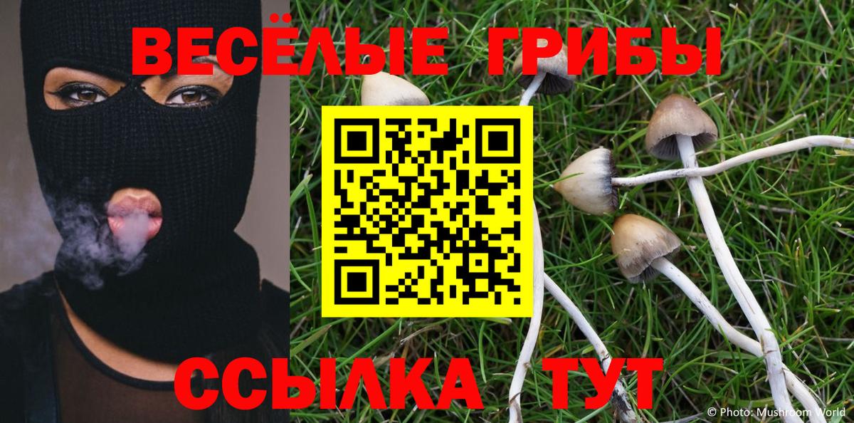 Галлюциногенные грибы Psilocybe  Псилоцибиновые грибы прущие грибы  Вход с VPN  Кудрово 