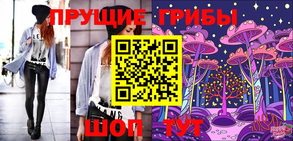 Псилоцибиновые грибы Psilocybe Кудрово